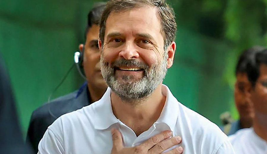 Rahul Gandhi MP