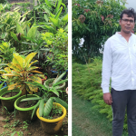 Deoria : भूमाफियाओं का गढ़ है देवरिया, जमीन को लेकर पहले भी हो चुके हैं बड़े कांड, भविष्य में भी…