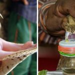 पीएम मोदी ने लिखी चिट्ठी, कहा – सरकार ने जो ईमानदार प्रयास किए हैं, उनके सार्थक परिणाम हमारे सामने हैं